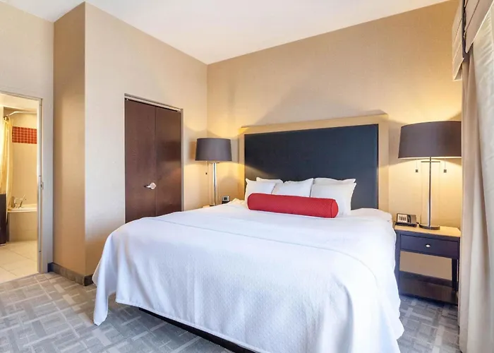 Hotel Cambria - Downtown 4*